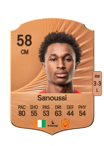 Diallo Sanoussi card