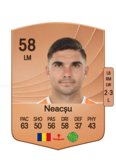 Robert Neacșu card