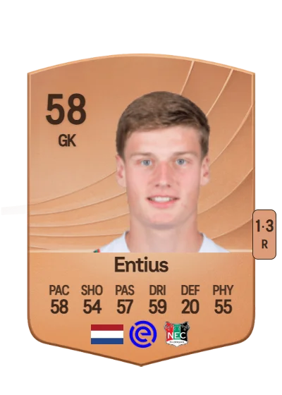 Freek Entius card