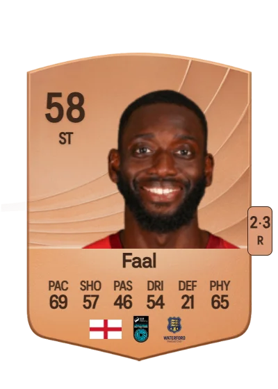 Muhammadu Faal card