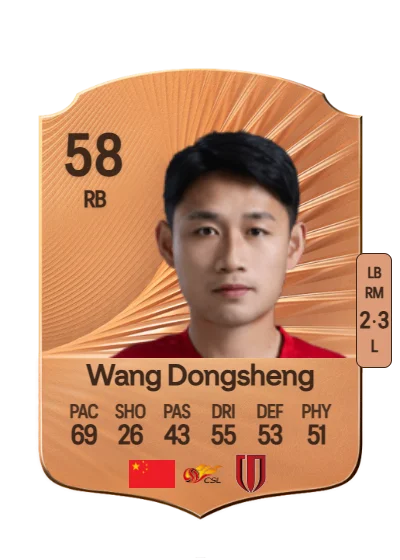 Dongsheng Wang card