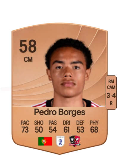 Pedro Borges Goncalves card