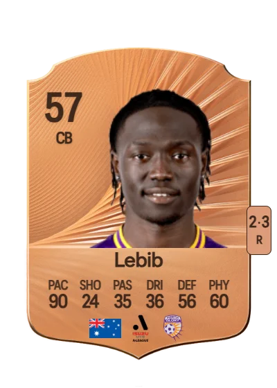 Andriano Lebib card