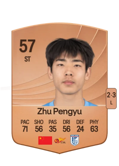 Pengyu Zhu card