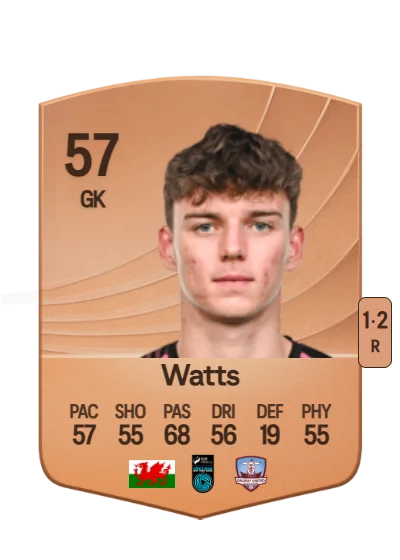 Evan Watts card