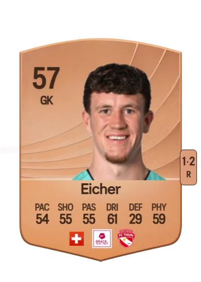 Jan Eicher card