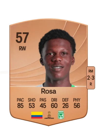 Juan José Rosa card