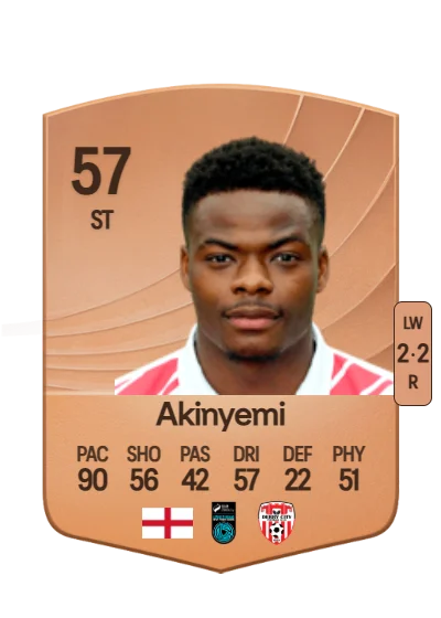 Dipo Akinyemi card
