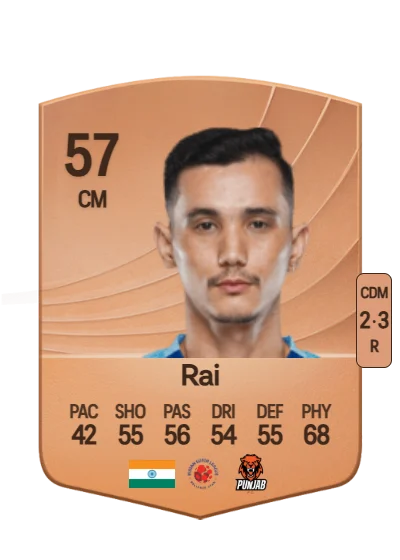 Vinit Rai card