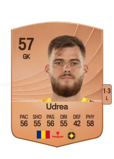 Mihai Udrea card