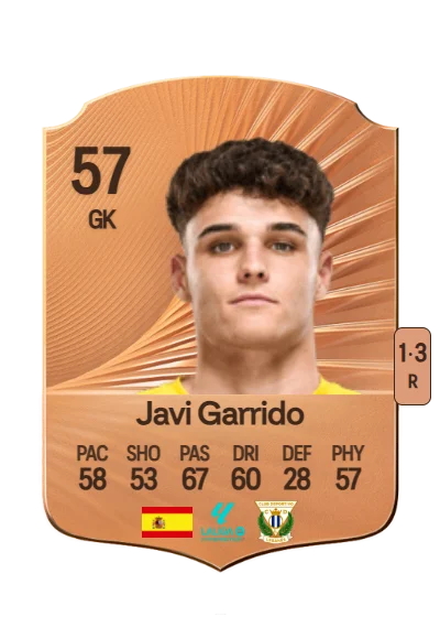 Javier Garrido López card