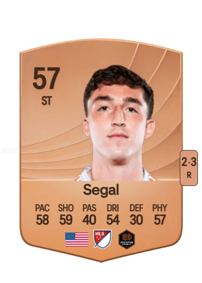 Gabriel Segal card