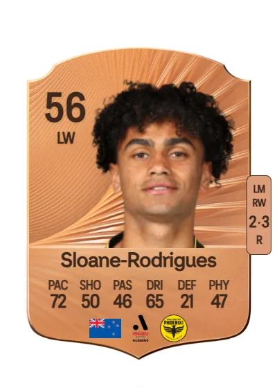 Gabriel Sloane-Rodrigues card
