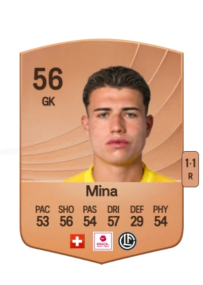 Diego Mina card