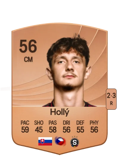 Dominik Hollý card
