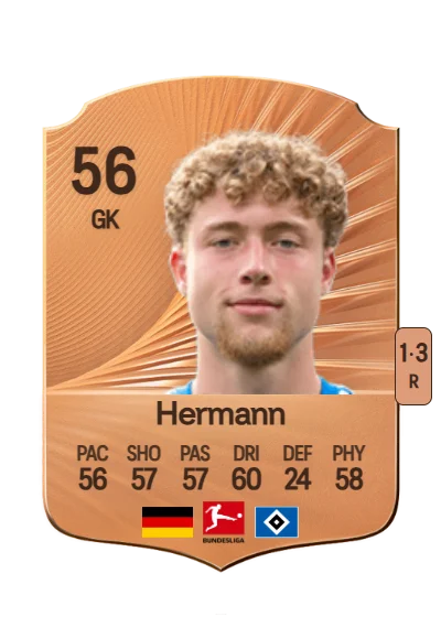 Hannes Hermann card