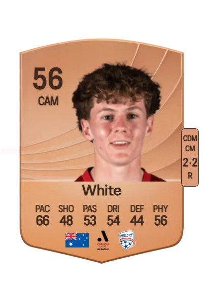 Ryan White card