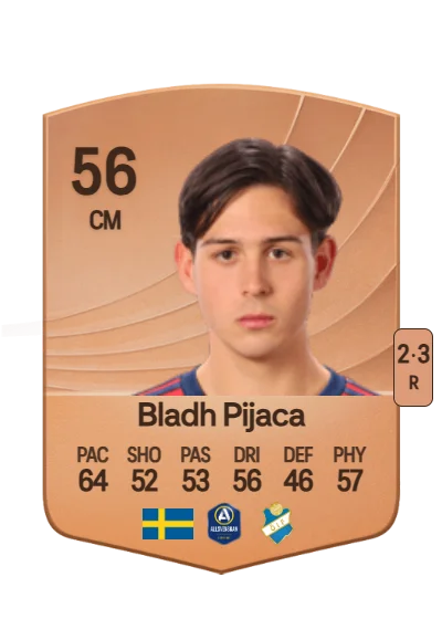 Hannes Bladh Pijaca card