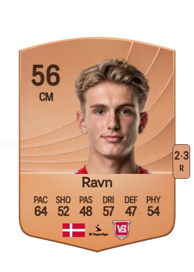 Sander Ravn card