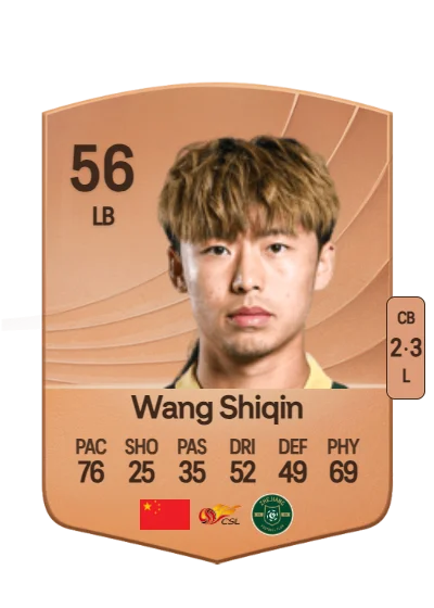 Shiqin Wang card