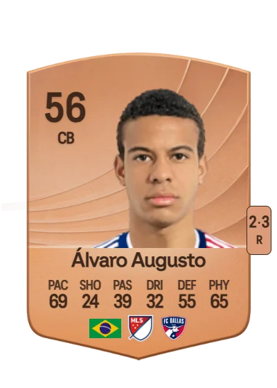 Álvaro Ribeiro Augusto card