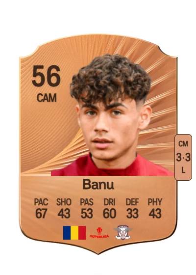 Sebastian Banu card