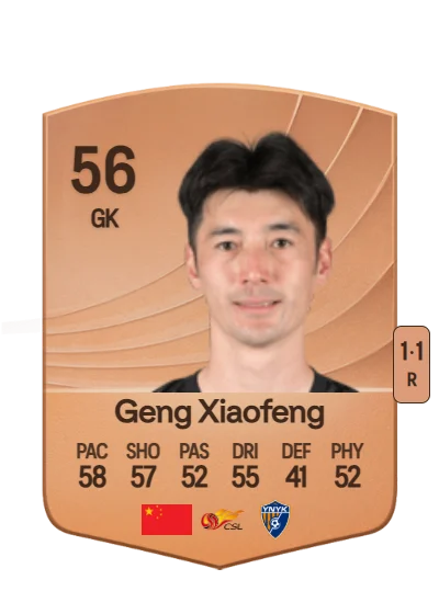 Xiaofeng Geng card