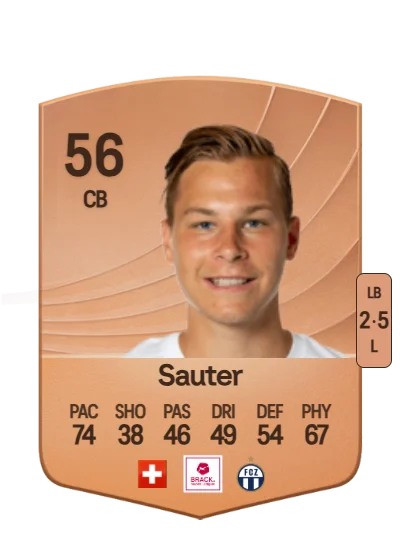 Ilan Sauter card