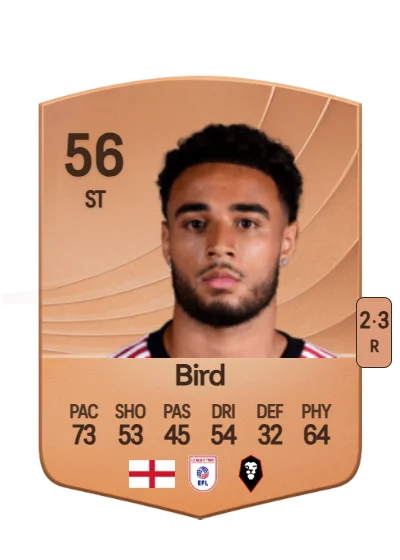 Jay Bird card