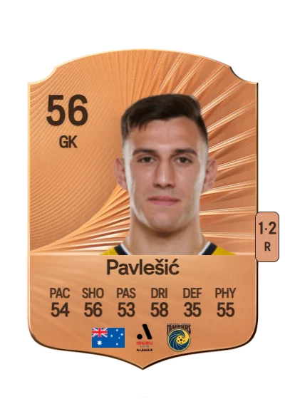 Adam Pavlešić card