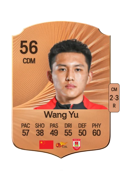 Yu Wang card
