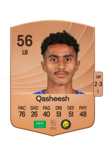 Majed Qasheesh card