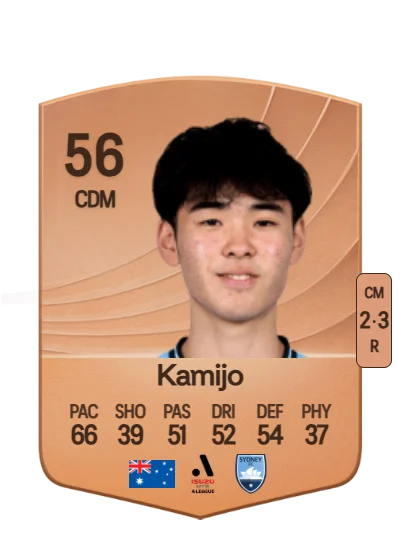 Wataru Kamijo card
