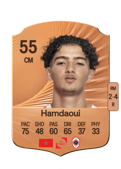 Youssef Hamdaoui card