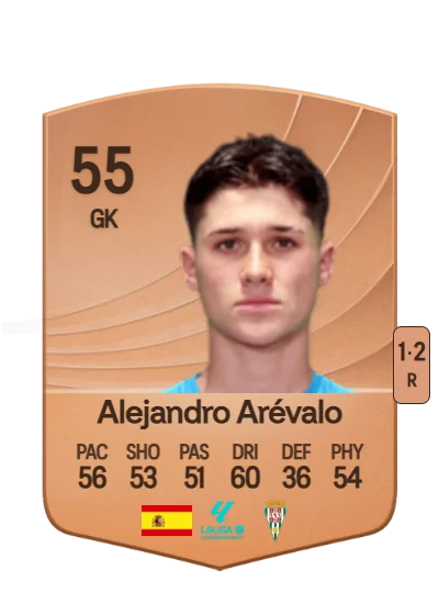 Alejandro Arévalo Arrebola card