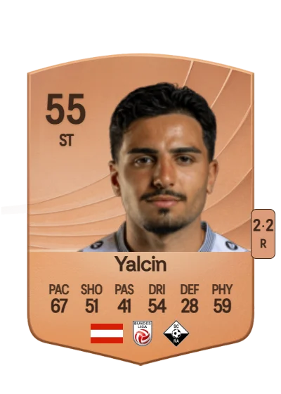 Erkin Yalcin card