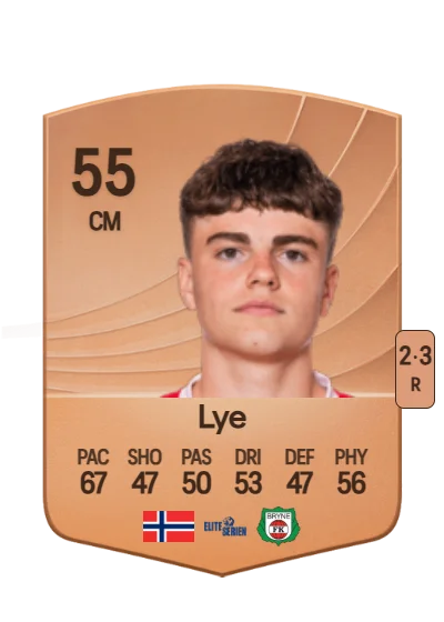 Martin Åmot Lye card