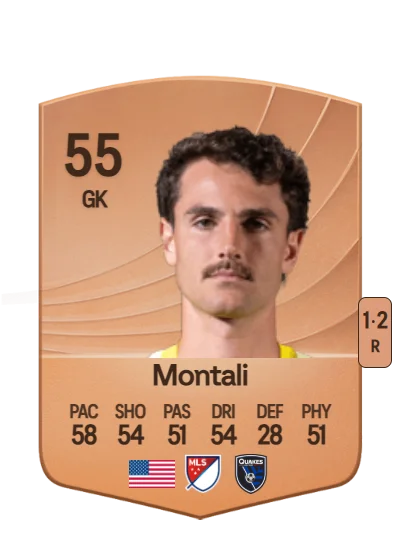 Francesco Montali card