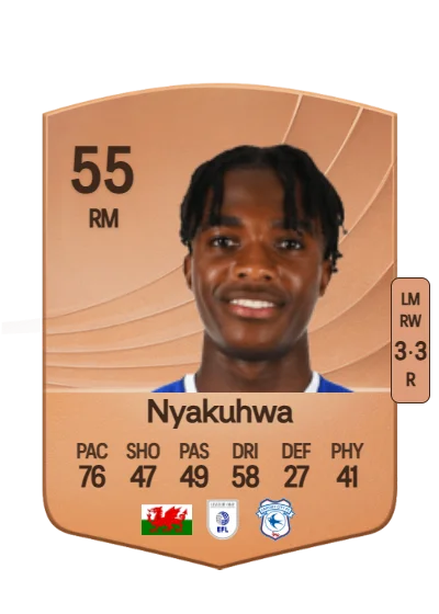 Tanatswa Nyakuhwa card