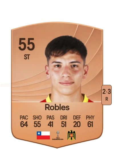 Diego Robles card