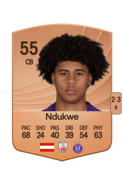 Ifeanyi Ndukwe card