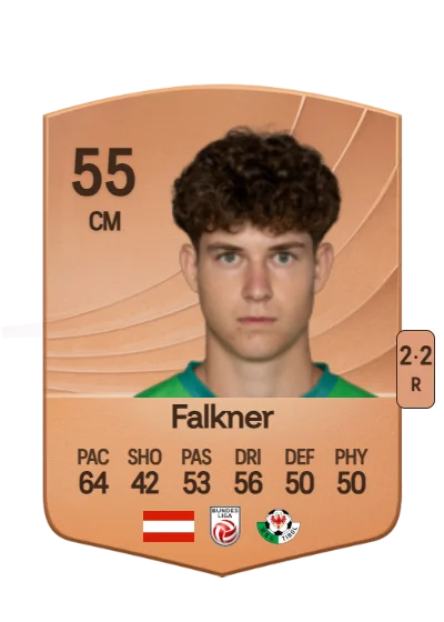 David Falkner card