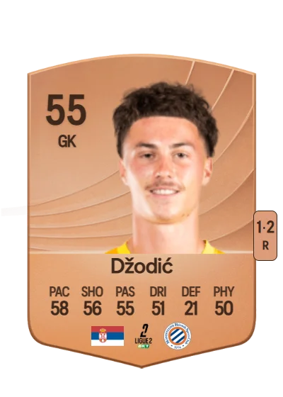 Viktor Džodić card