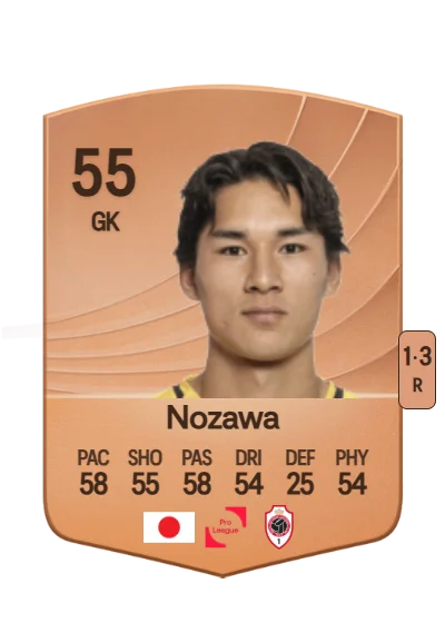 Taishi Brandon Nozawa card