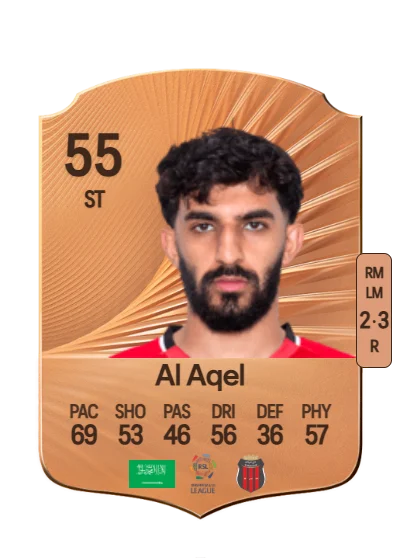 Mohammed Al Aqel card