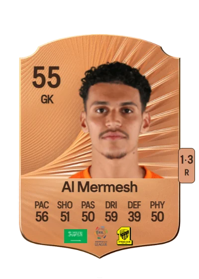 Osama Al Mermesh card