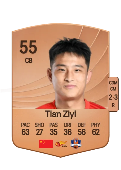Ziyi Tian card