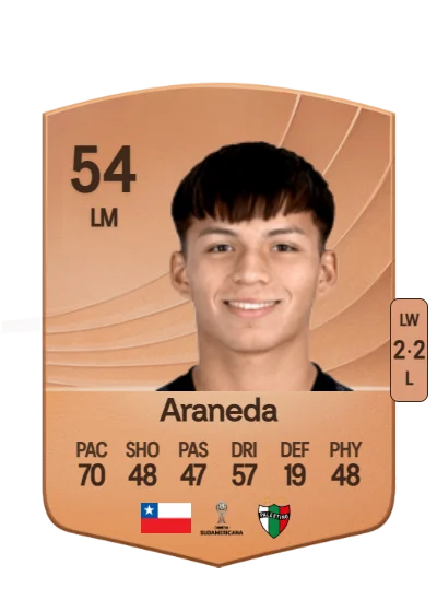 Benjamín Araneda card