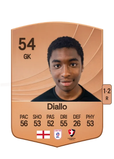 Mamadou Diallo card