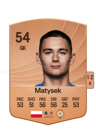 Adam Matysek card